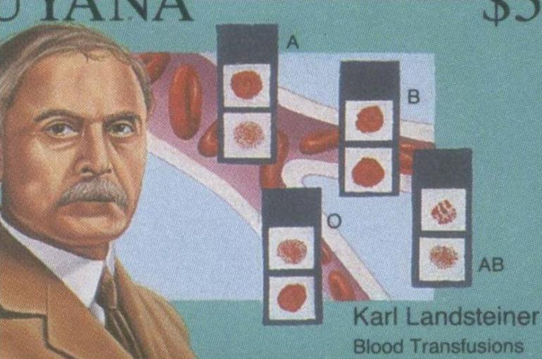 Karl Landsteiner, el Nobel que descubrió los grupos sanguíneos